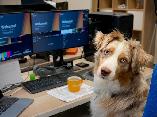 Should Pets Be Allowed In The Office?